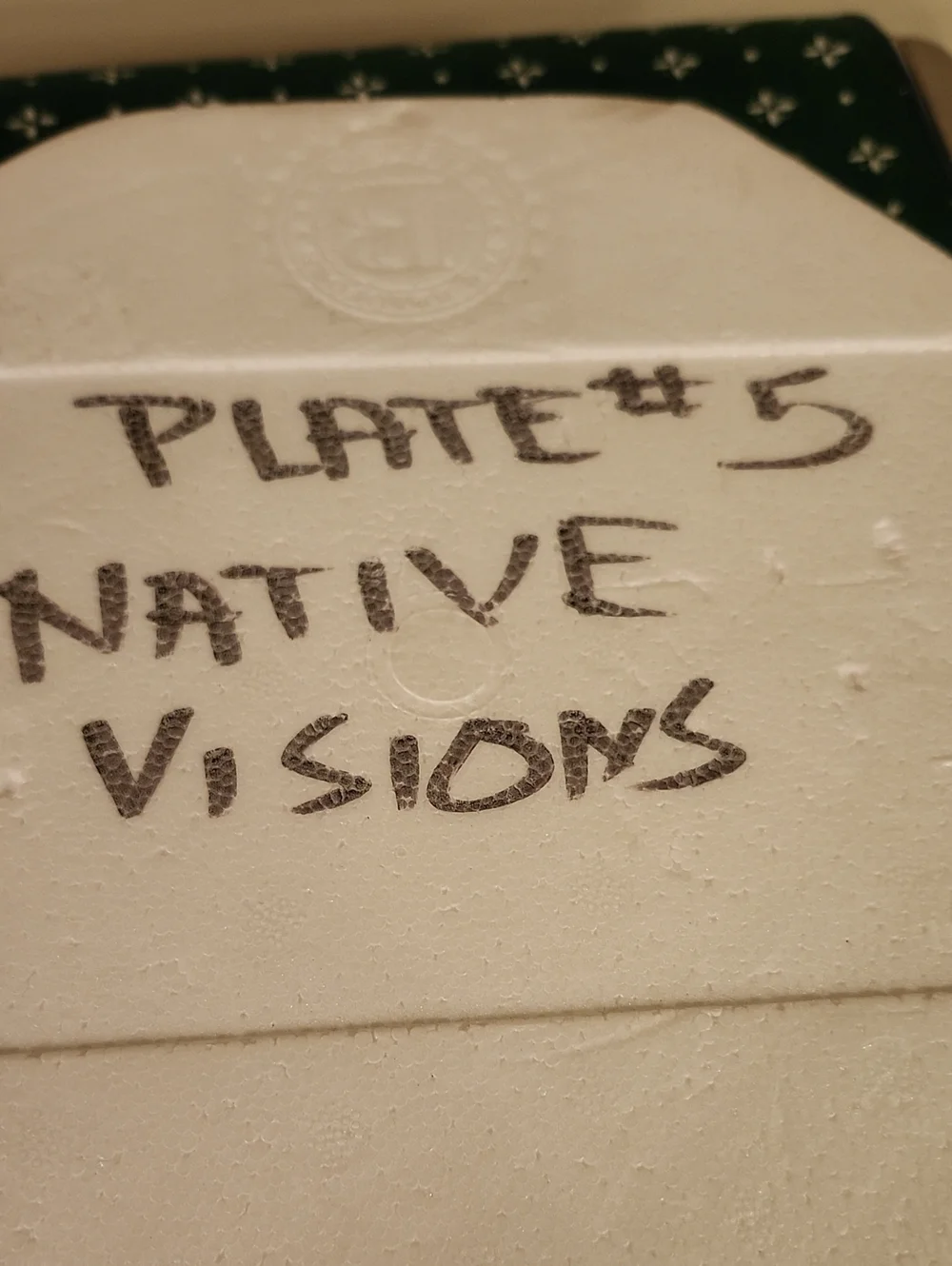 Native Visions Decorative Collectible Plate 